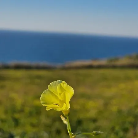 Holiday home Bouro's Cliff Serra do Bouro