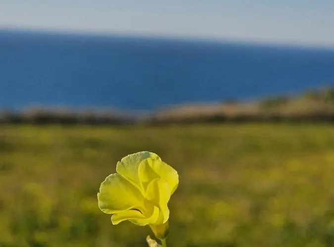 度假居 Bouro's Cliff Serra do Bouro